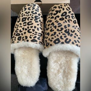 Freda Salvador slippers